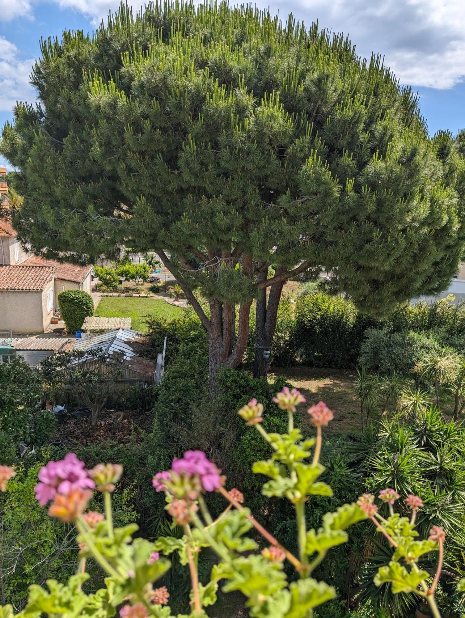 Studio Calme Dernier Etage Antibes Exteriér fotografie